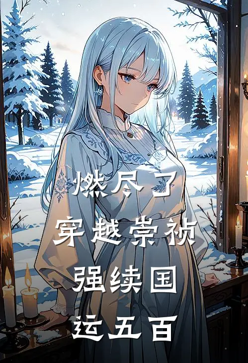 燃尽了：穿越崇祯，强续国运五百