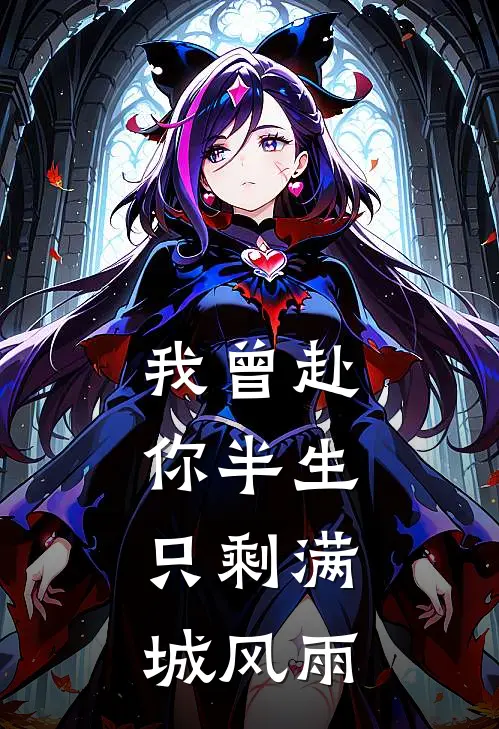 我曾赴你半生，只剩满城风雨