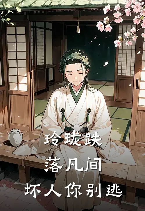 玲珑跌落凡间，坏人你别逃